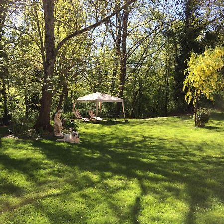 Domaine Du Val De Soux Bed & Breakfast Montgaillard-de-Salies Ngoại thất bức ảnh